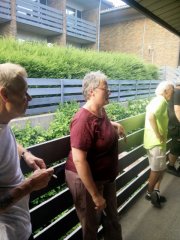 IMG_20180609_185855.jpg